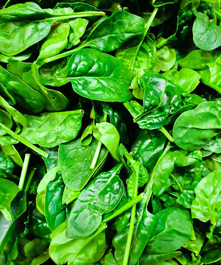 Fresh spinach