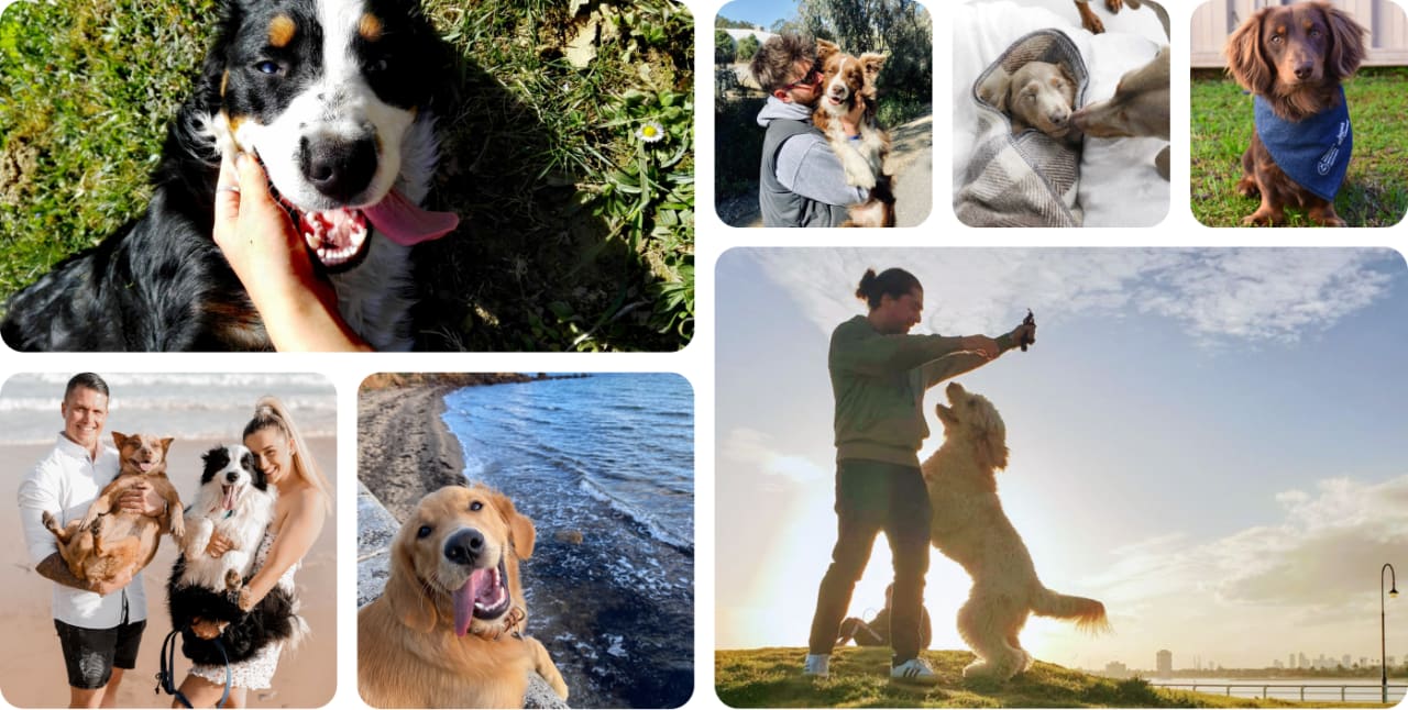 Collage of proud pupper parents and their furry best friends