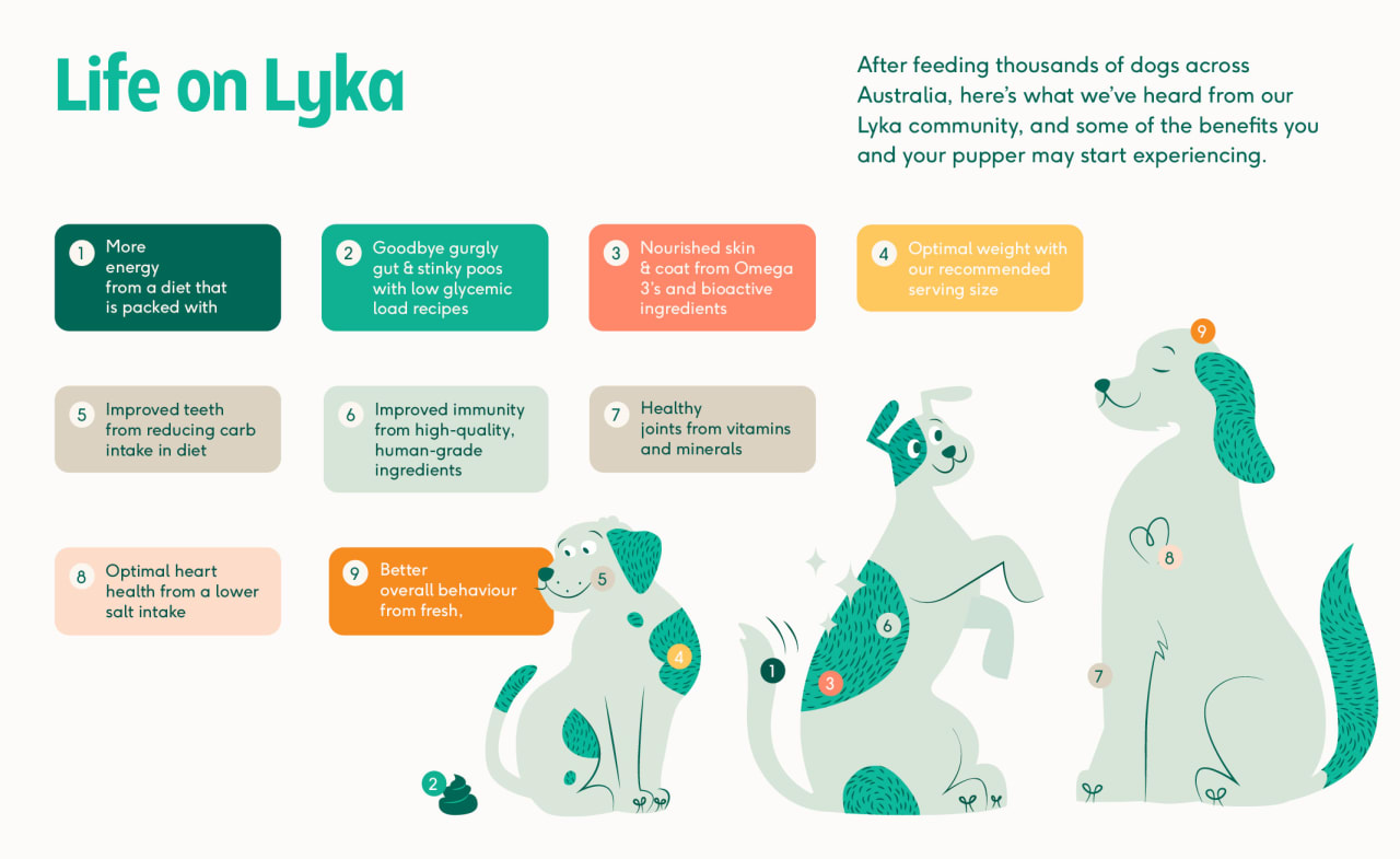 life-on-lyka-benefits-graphic