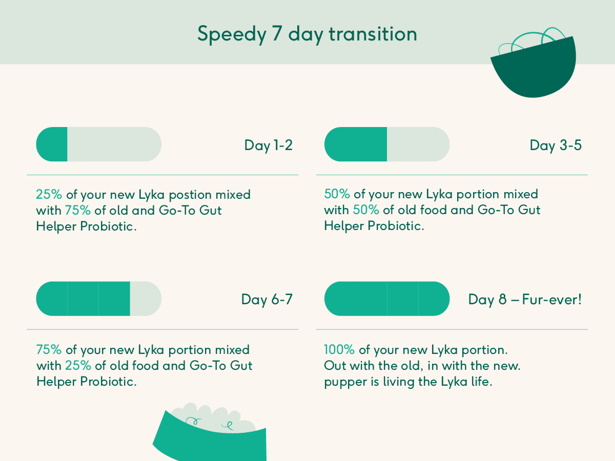 lyka-fastrack-7-day-transition