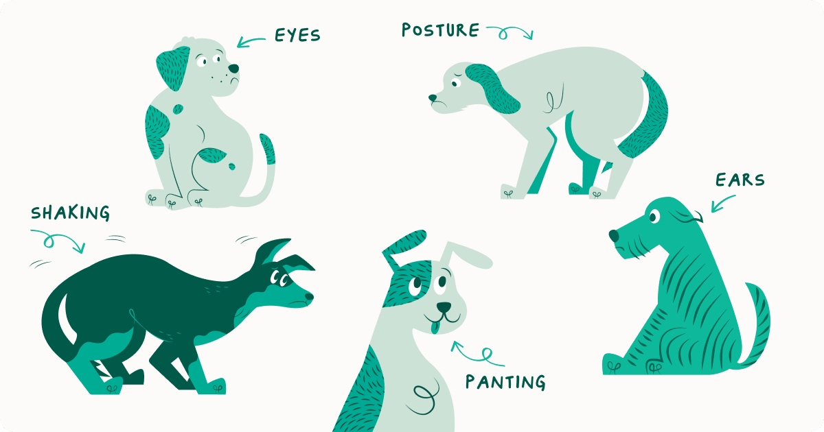 Signs of stressed dog