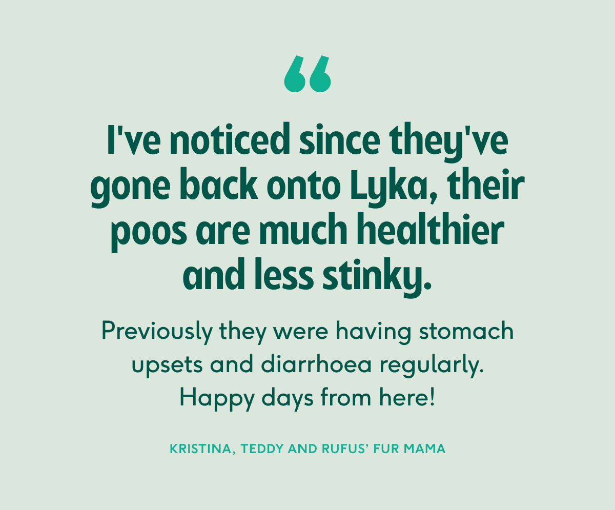 Lyka customer testimonial