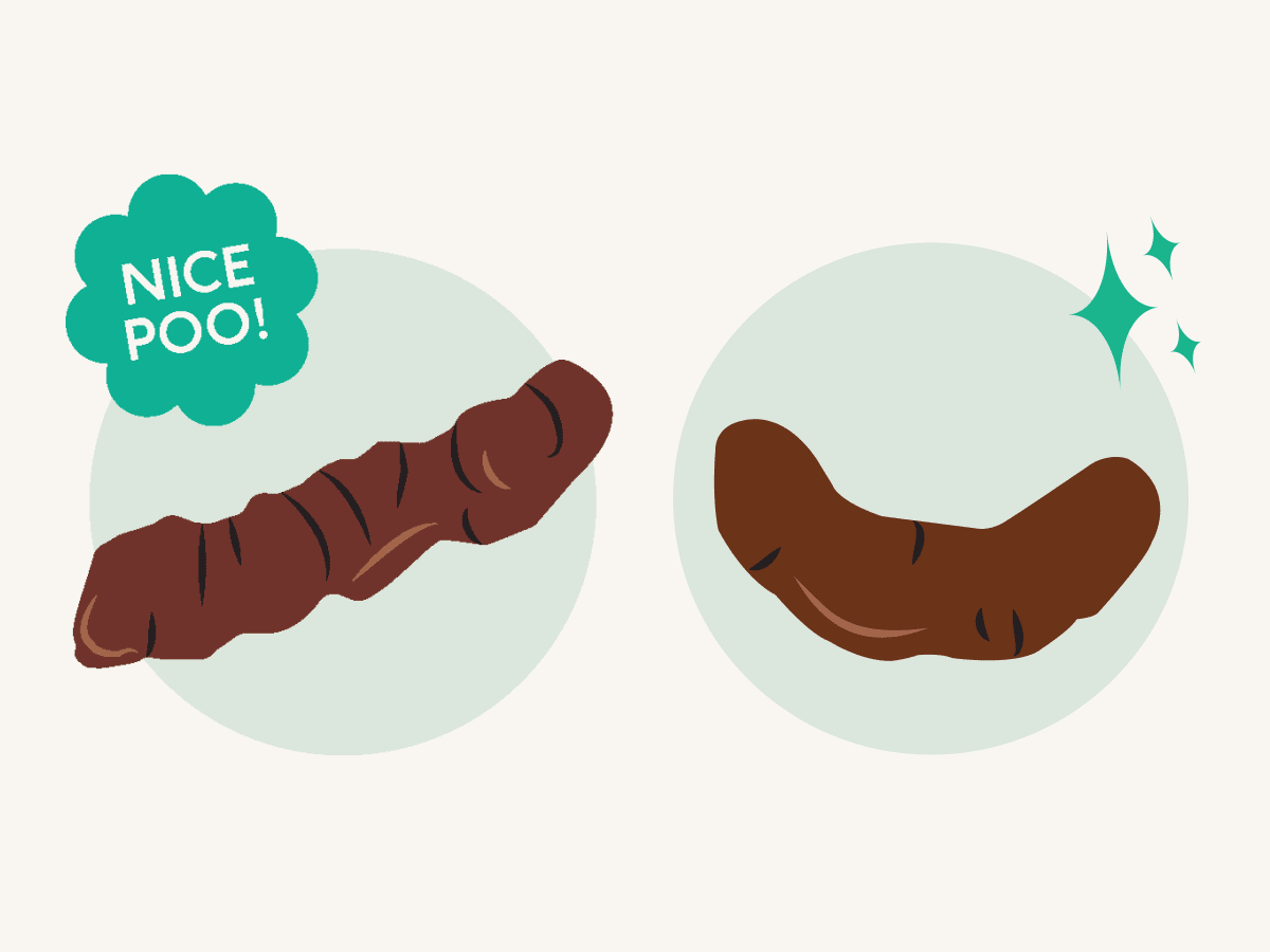 Lyka's illustration of what a good poo should look like