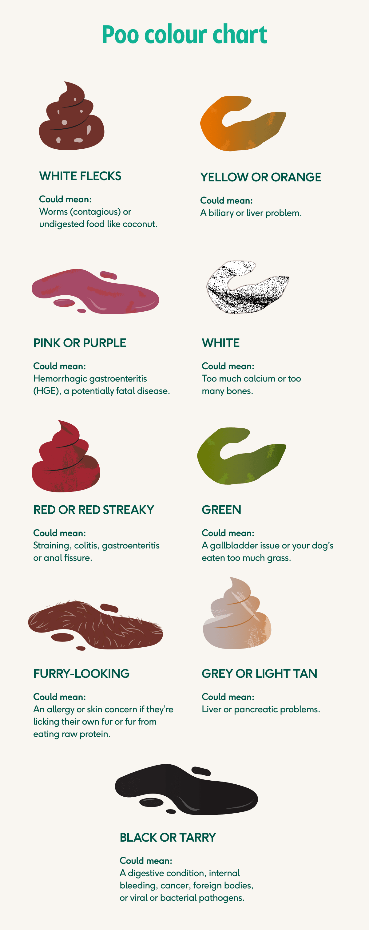 Description of poo colours and what they could mean