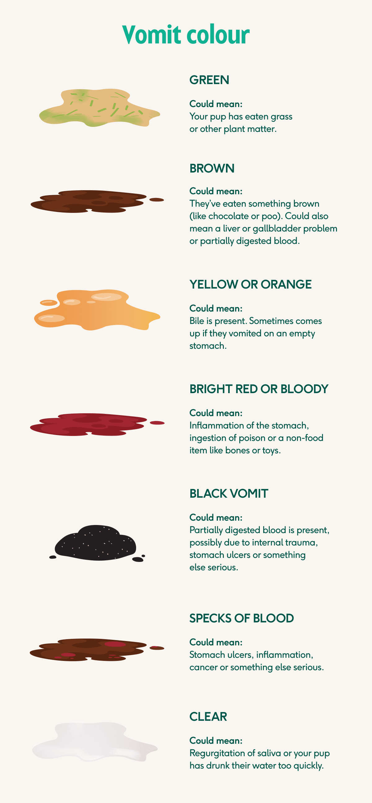 Description of vomit colours and what they could mean