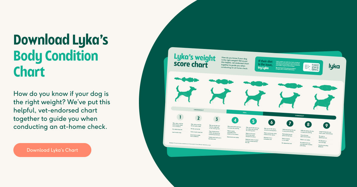 Lyka-body-condition-chart-download-block