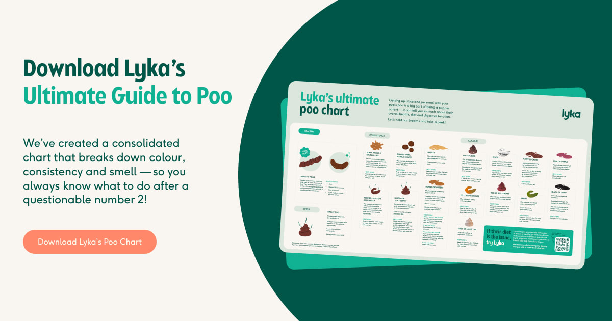 Download Lyka's ultimate guide to poo block