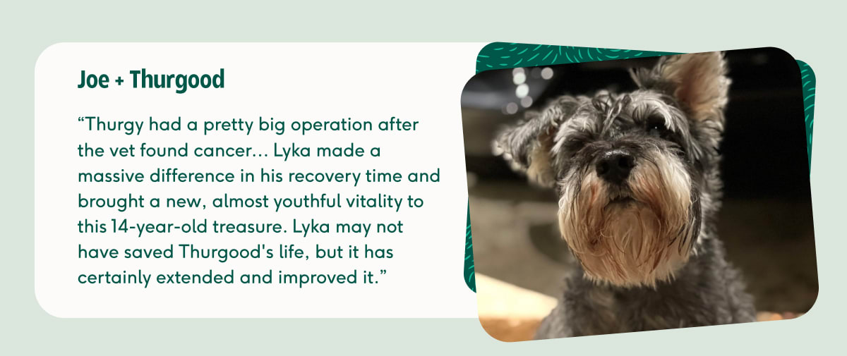 Customer testimonial from Joe and her dog Thurgood