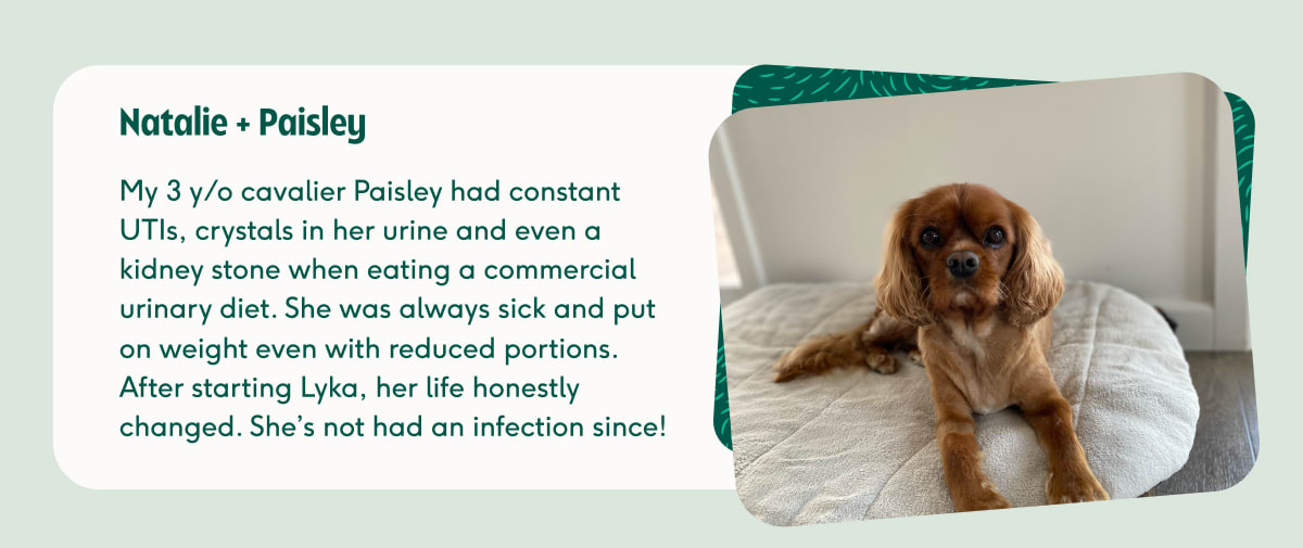 Natalie Paisley customer testimonial