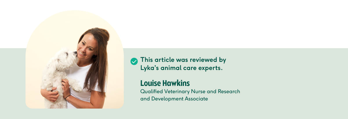 This article was reviewed by Lyka's animal care experts.