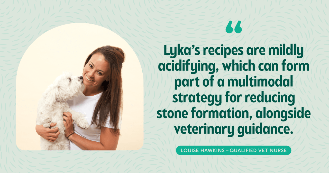 Lyka recipes vet benefits quote