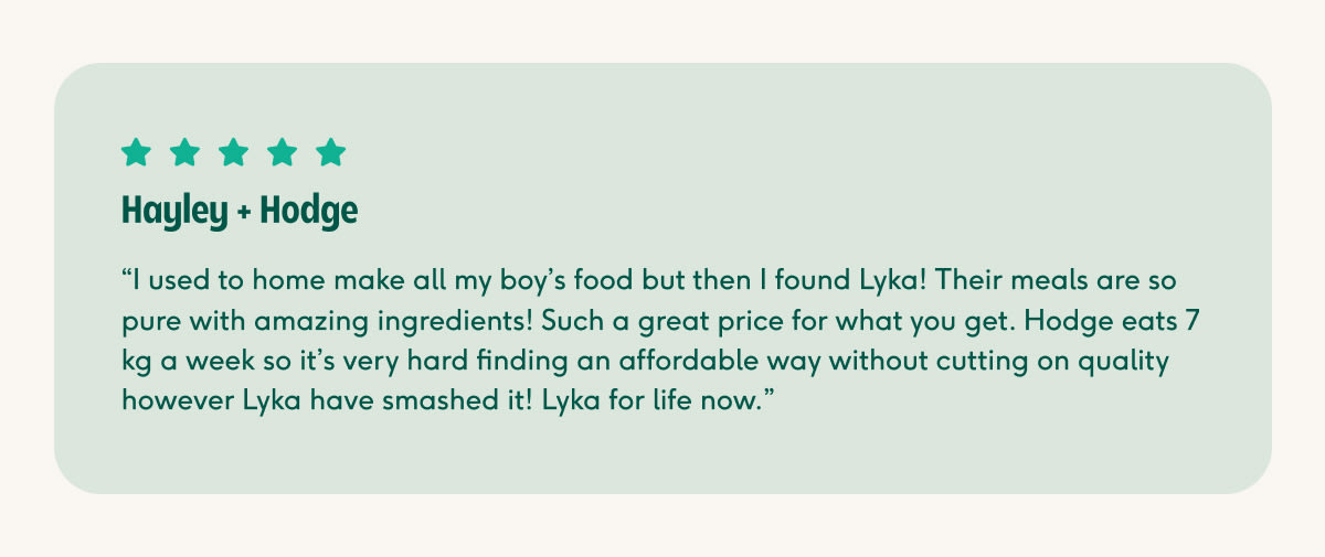 Testimonial from customer Hayley who cooked at home for her dog Hodge before finding Lyka
