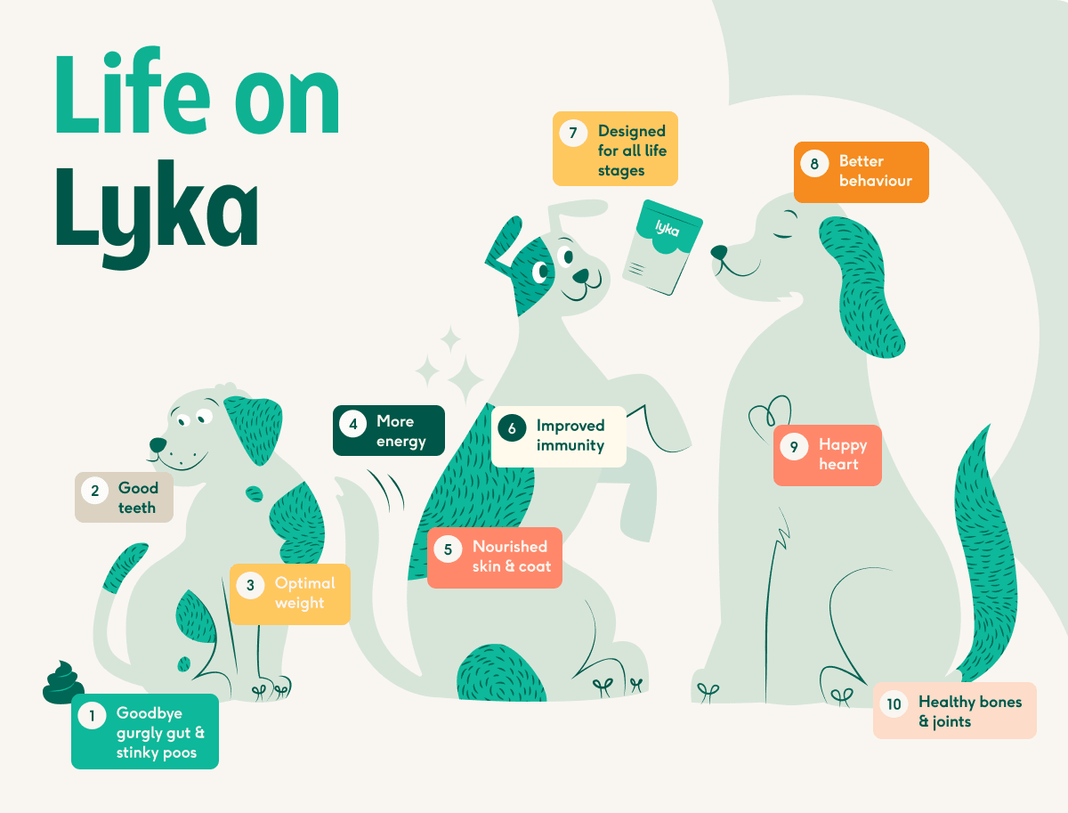 life-on-lyka-illustration