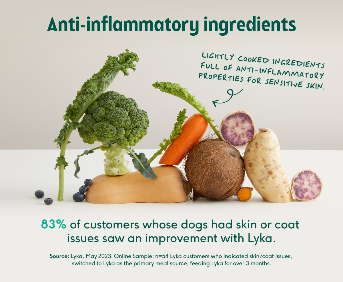 Lyka statistic skin issues anti-inflammatory ingredients statistic