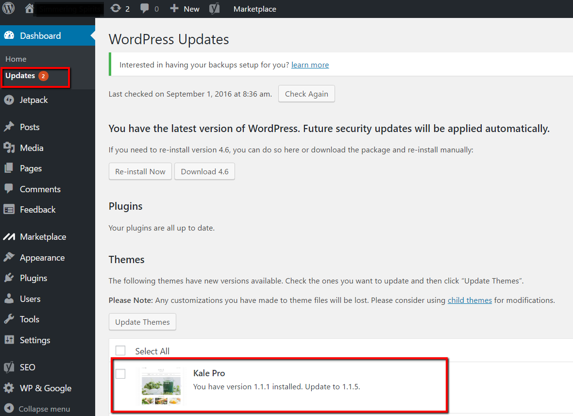 Updating Your Premium WordPress Theme via Control Panel or FTP