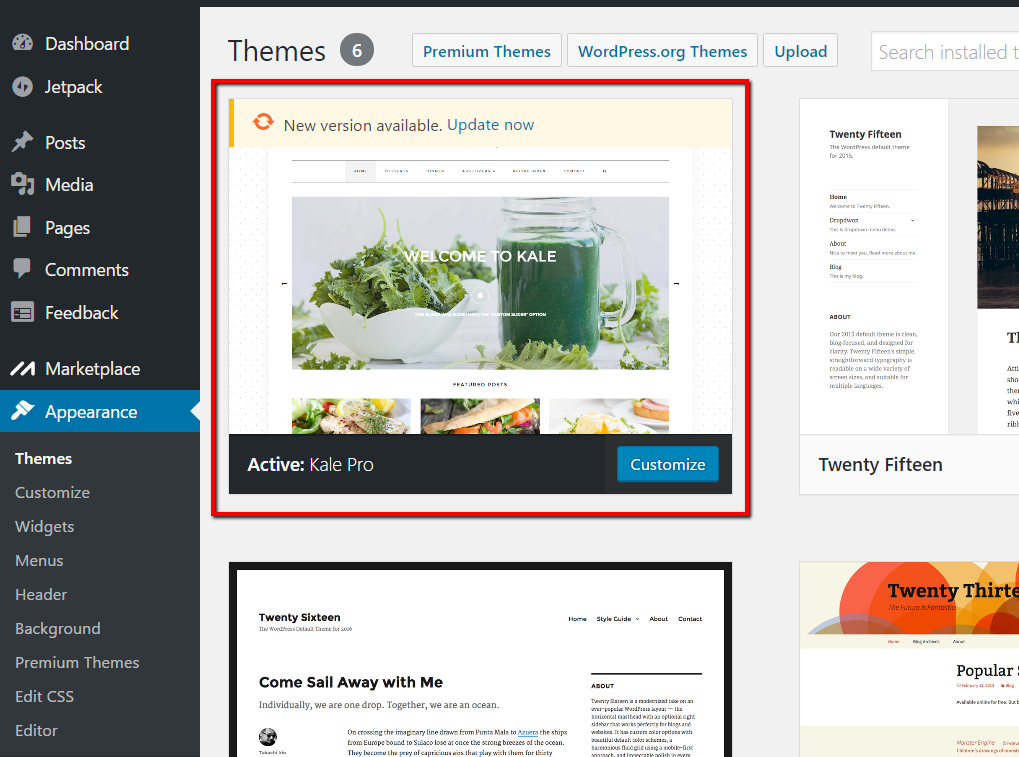 Updating Your Premium WordPress Theme via Control Panel or FTP