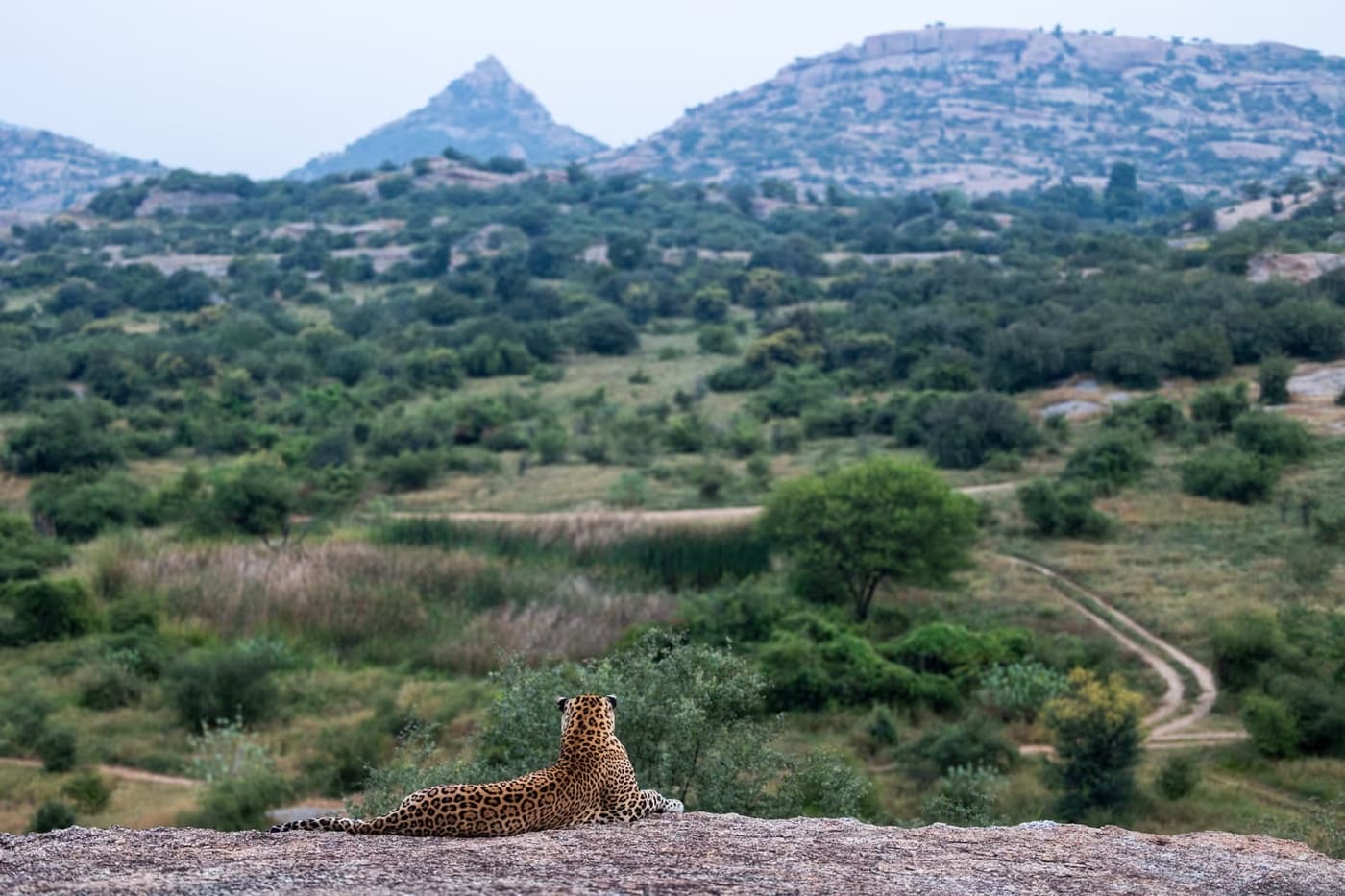 SUJAN Jawai Wilderness Camp