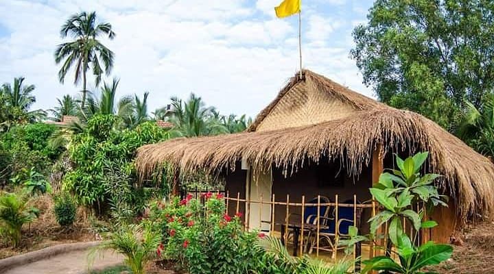 Banyan Tree Yoga Mandrem