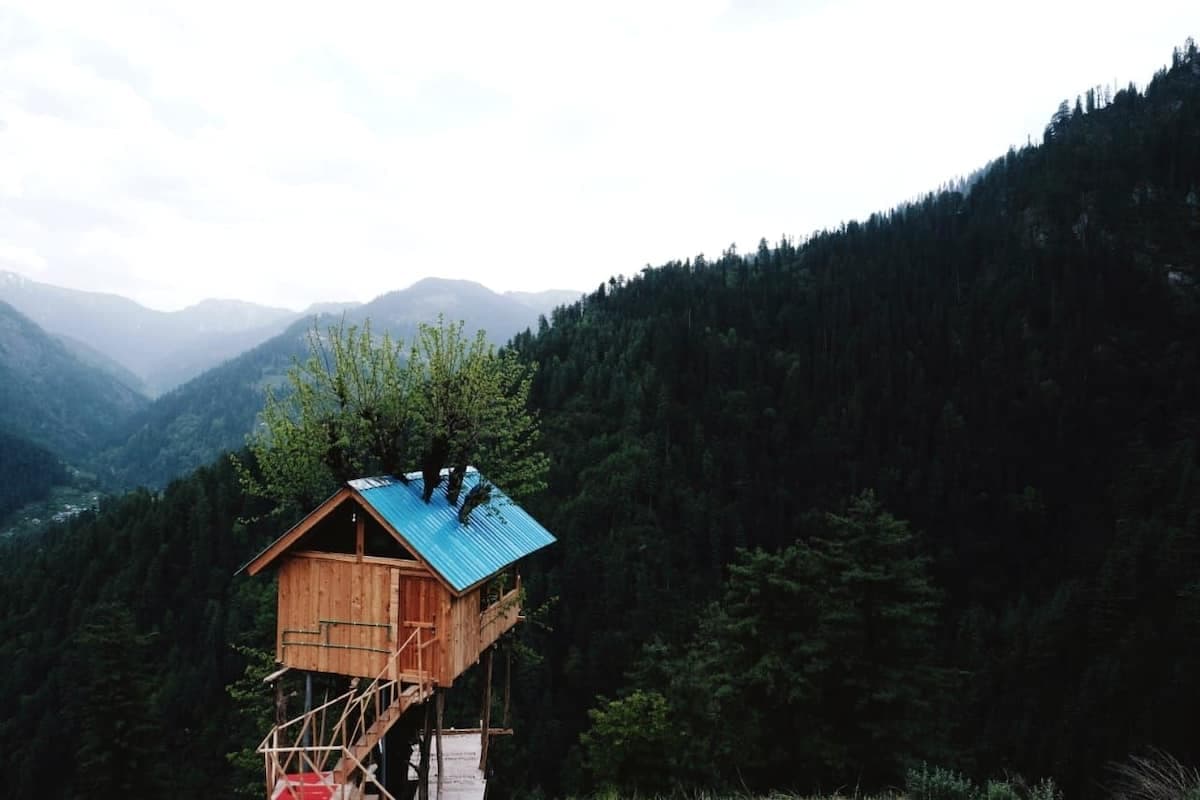 Jungle Book Homestay Jibhi