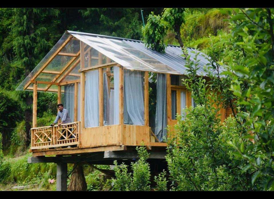 Glass Treehouse Tandi