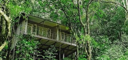 The Wayanad Wild Wayanad