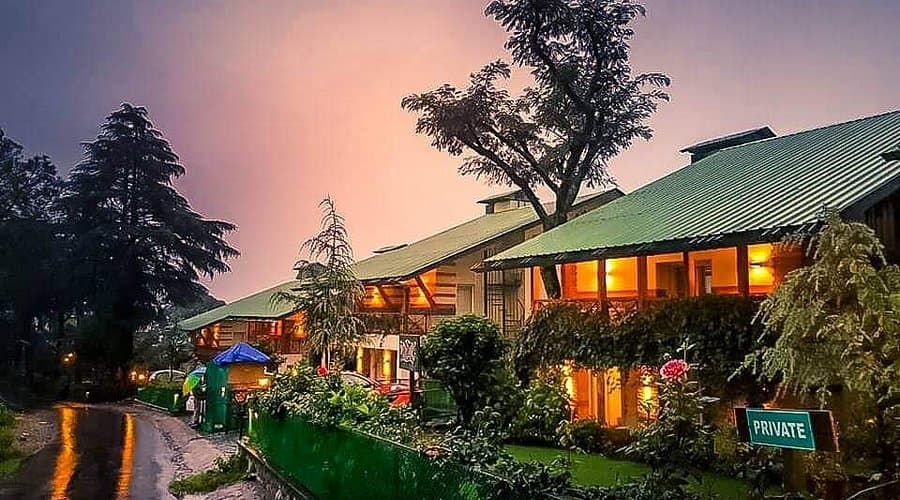 Norwood Green Palampur