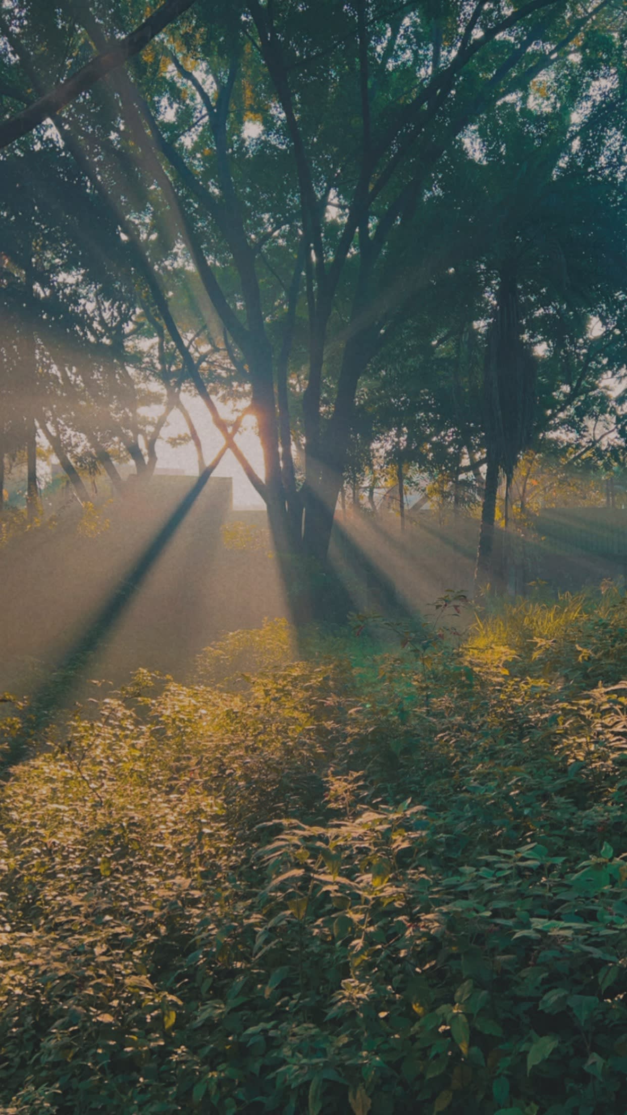Be someone's Winter Sun.