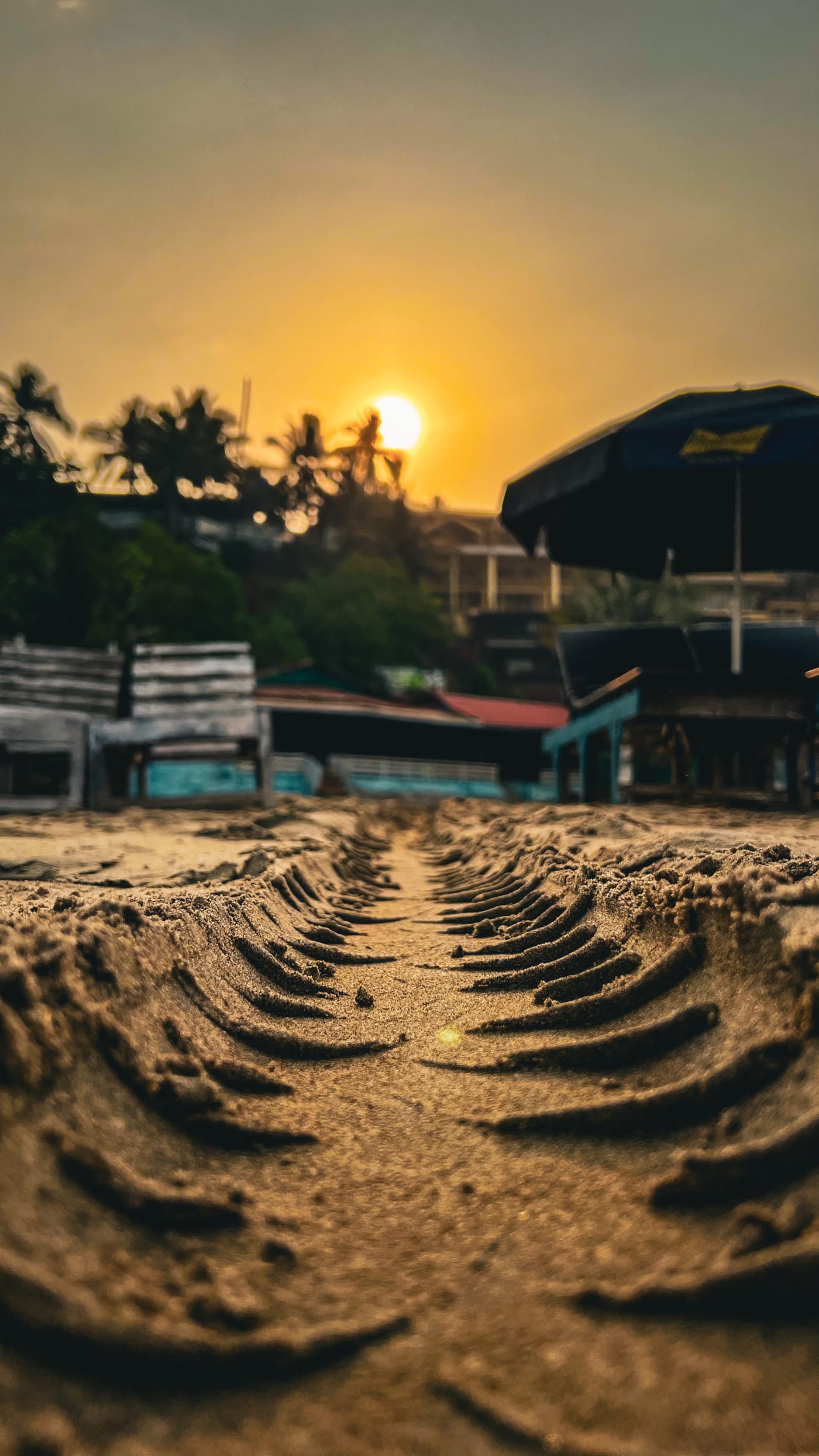 the traces we leave