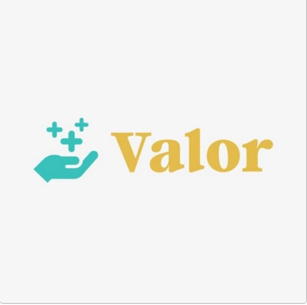 Valor logo