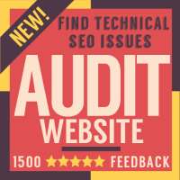 website seo audit