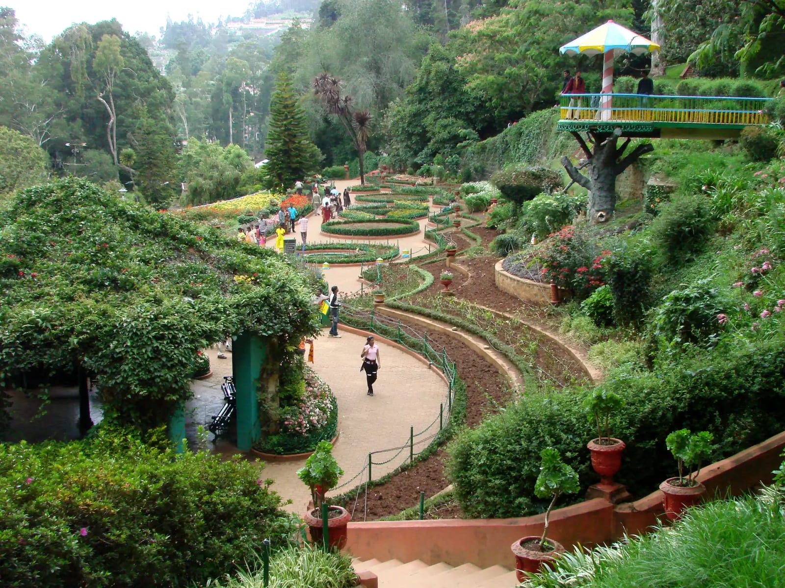 Government Botanical Garden in Ooty
