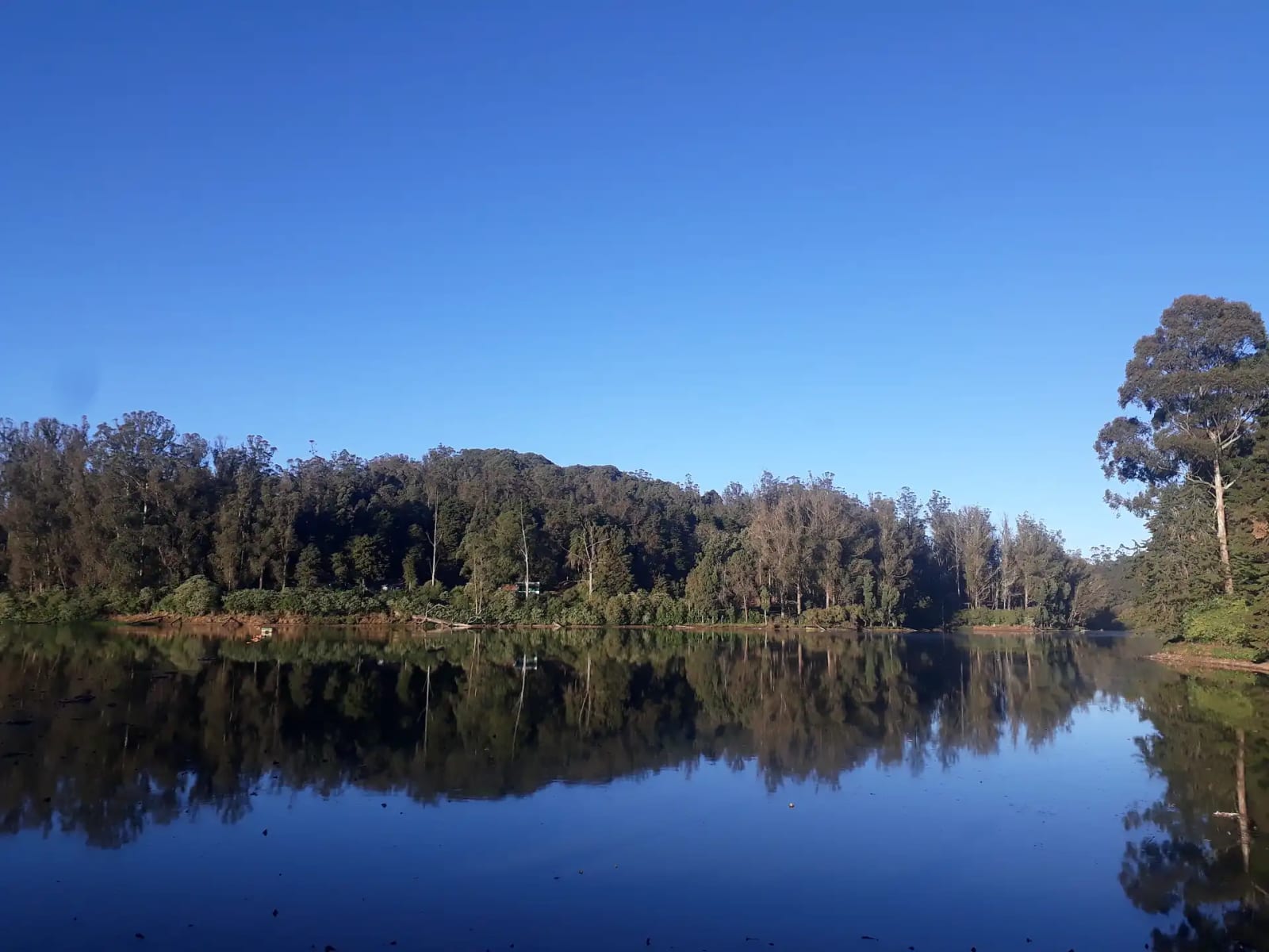 Ooty Lake in Ooty
