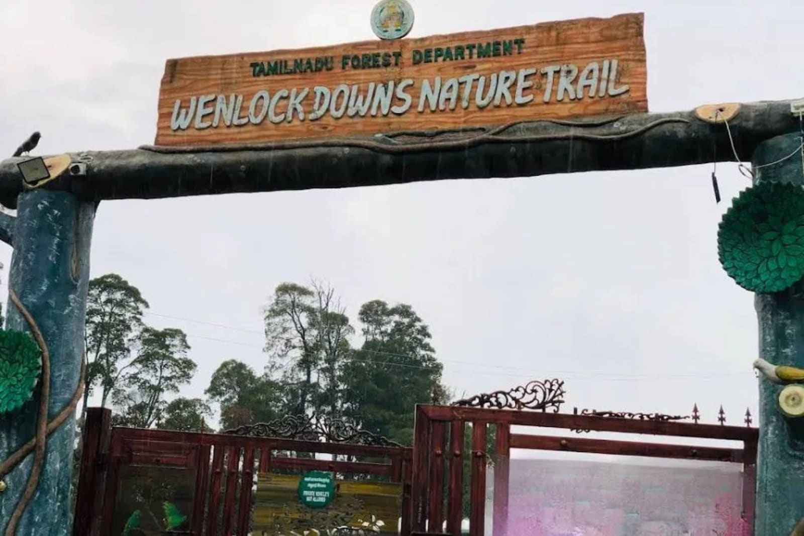 Wenlock Downs in Ooty