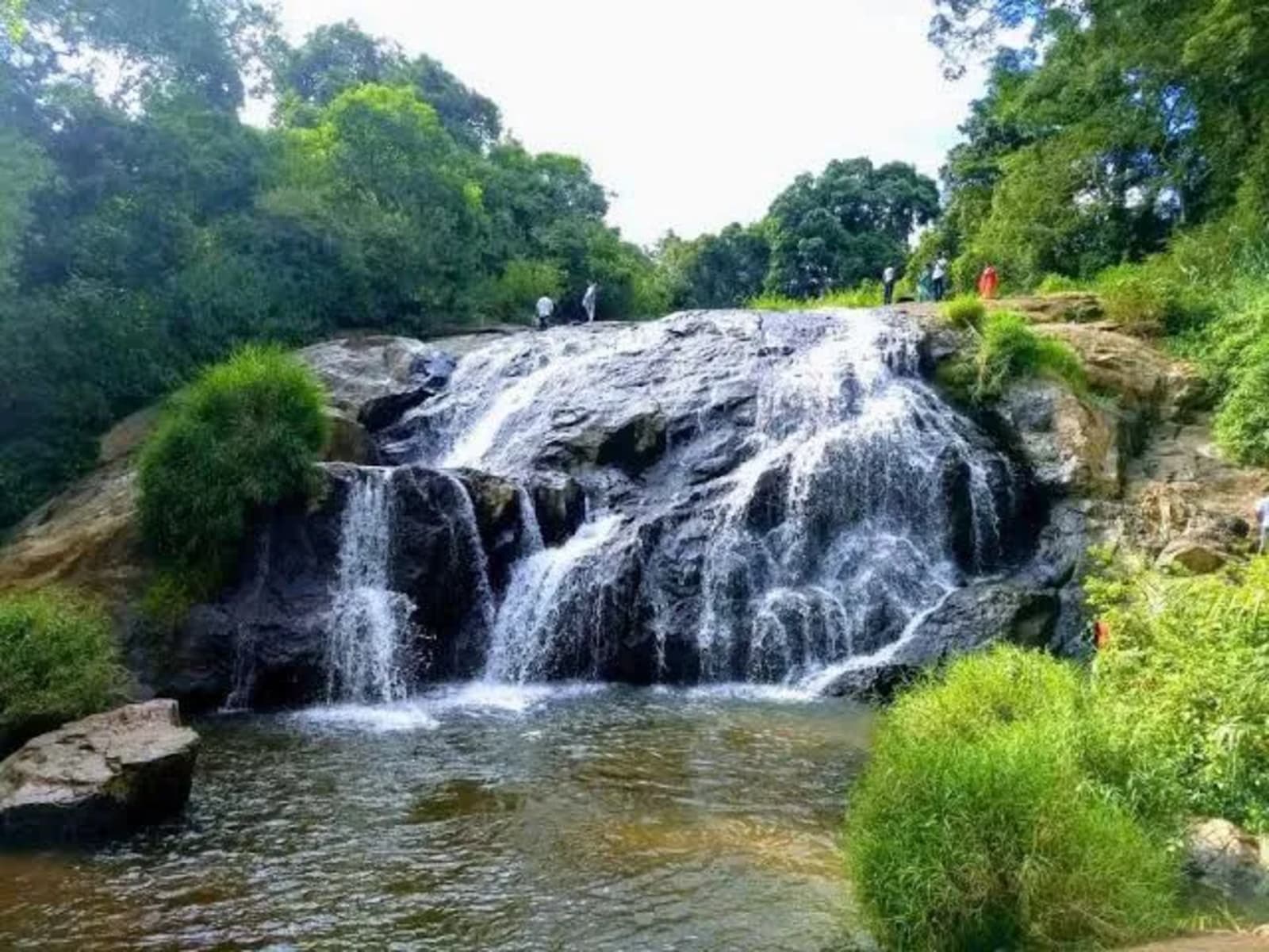 Catherine Falls in Ooty