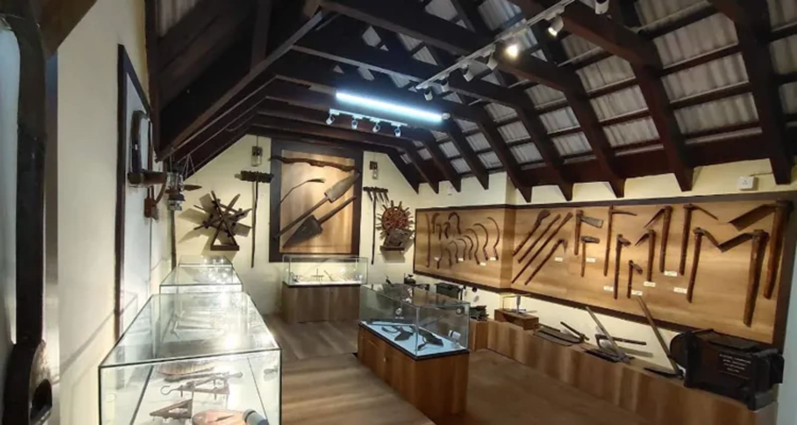 Government Museum in Ooty