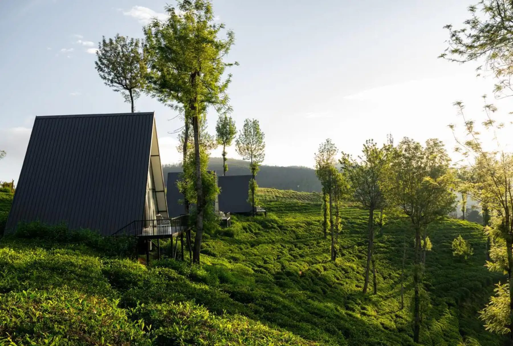 Scenic view around Triangle Valley Ooty