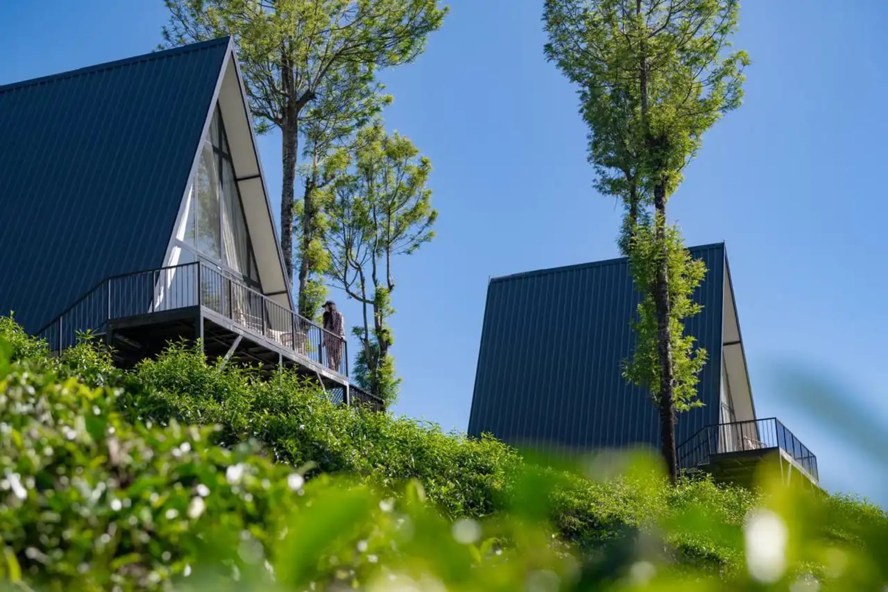 Triangle Valley cottage in Ooty