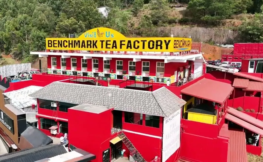 Benchmark Tea Factory in Ooty