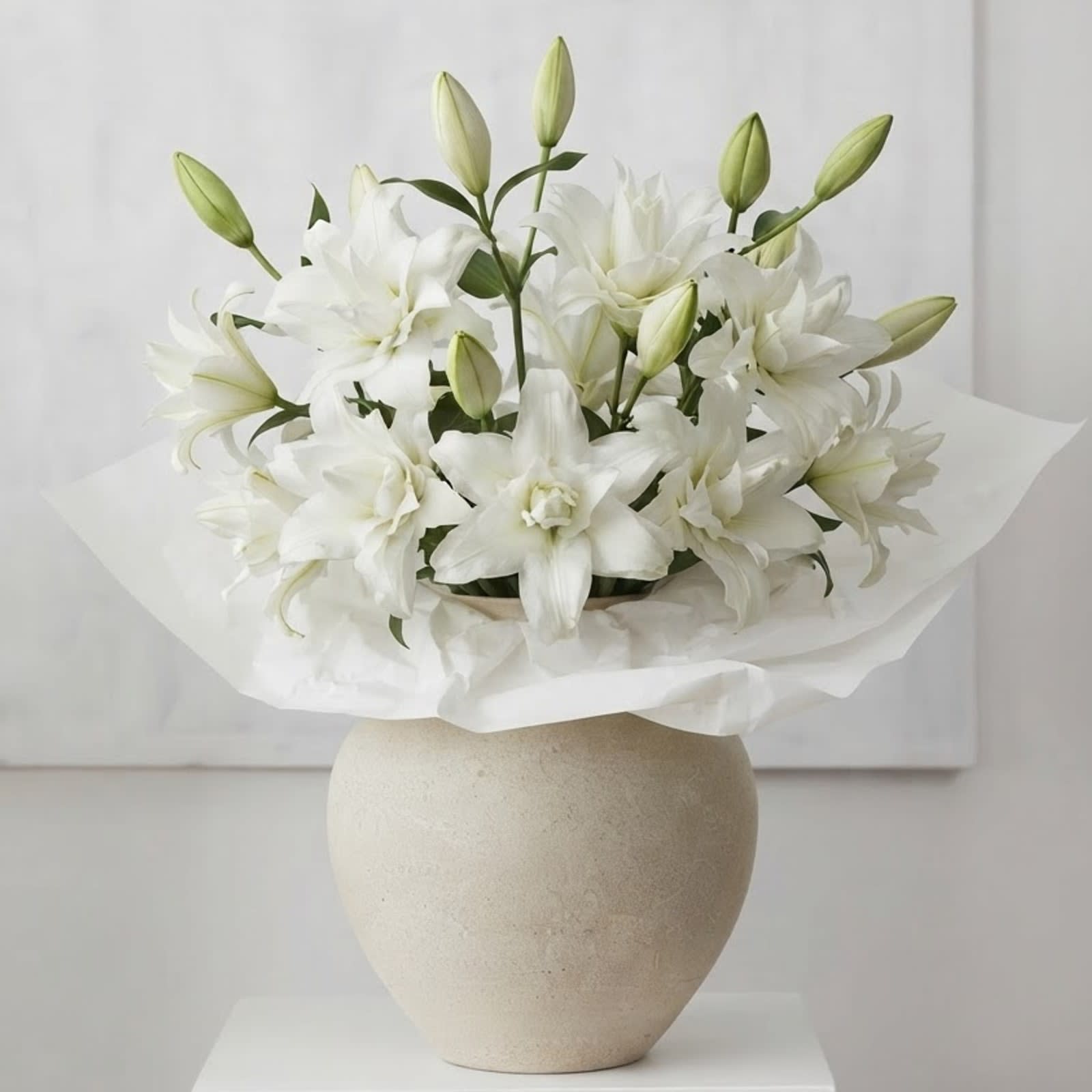 Aura Blanche