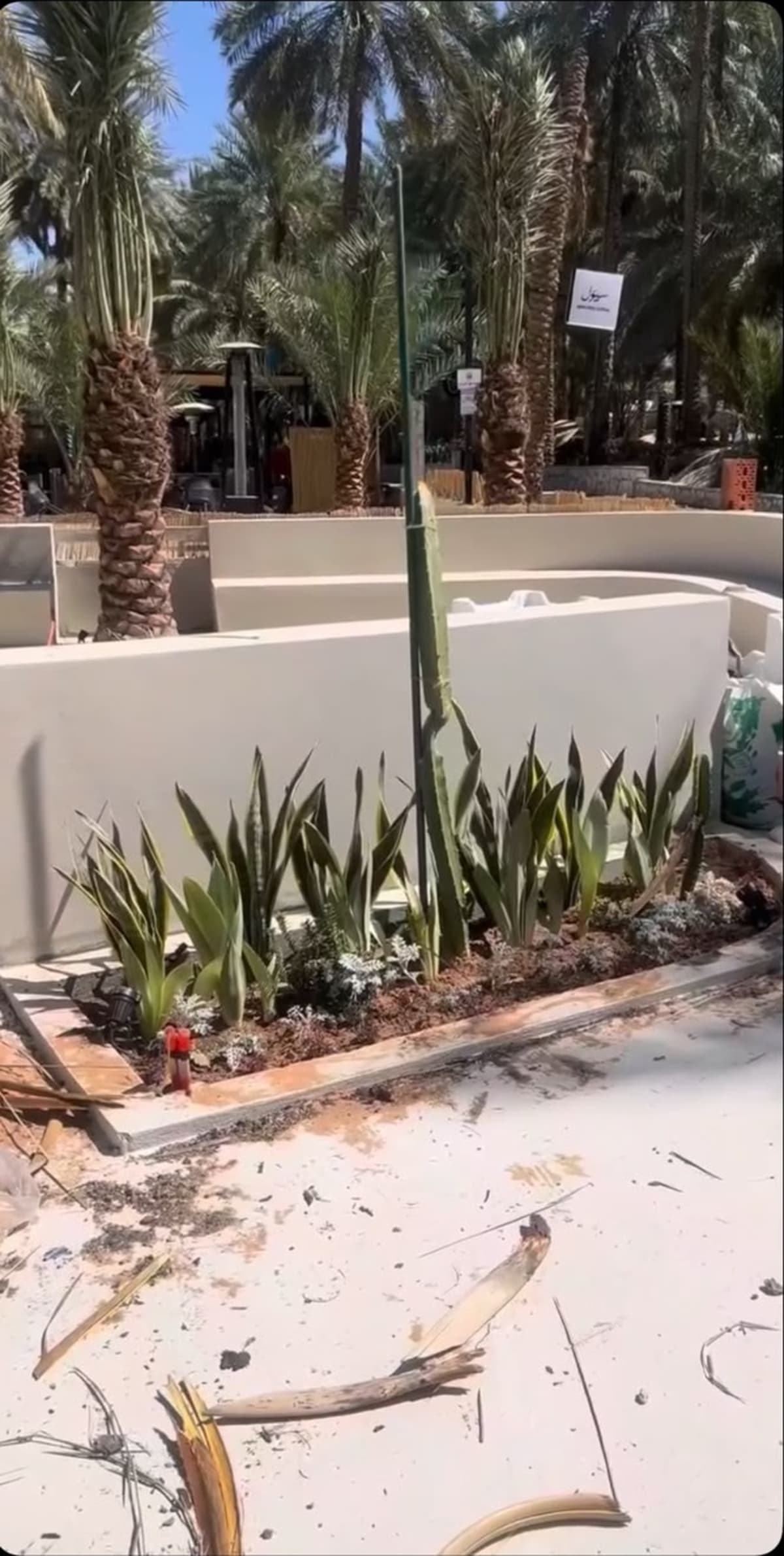 تنسيق جلسة مقهى وسط النخيل — صورة 2