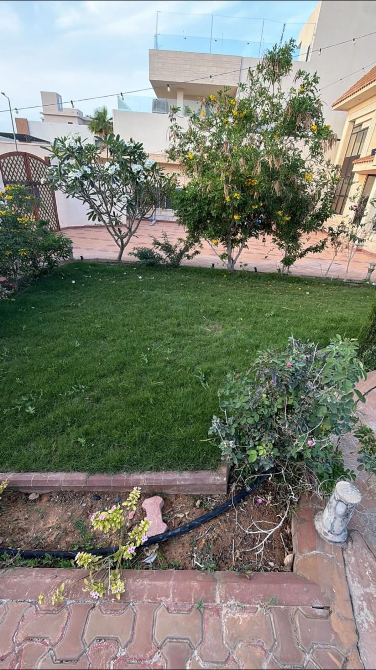 تجهيز أرضية وزراعة حديقة — صورة 1