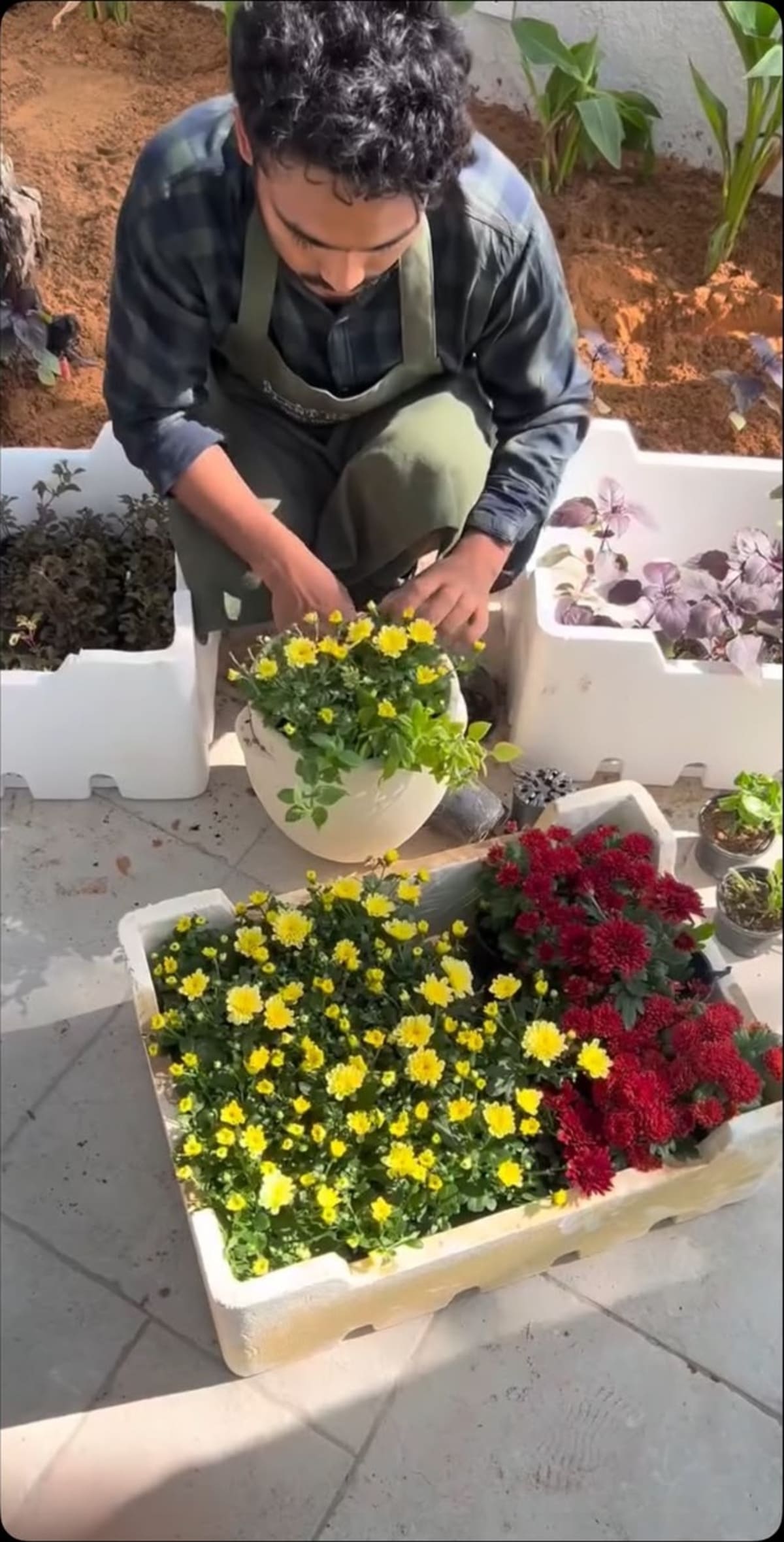 أحواض أزهار موسمية — صورة 4