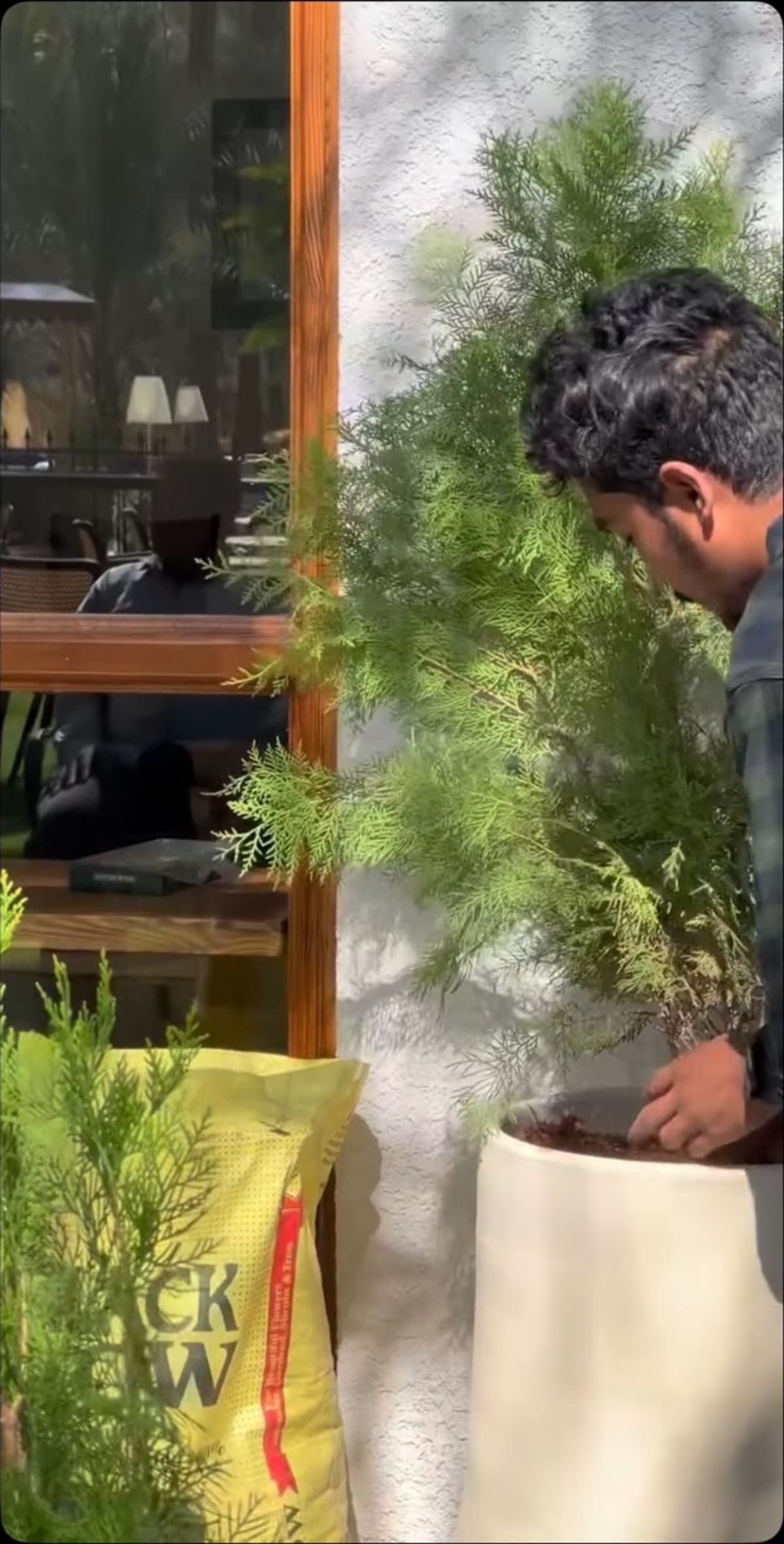 توريد وتركيب نباتات داخلية لمحل تجاري — صورة 4