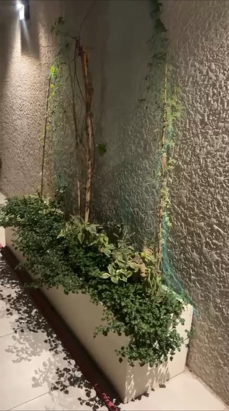 نقاء.. وعي.. استدامة