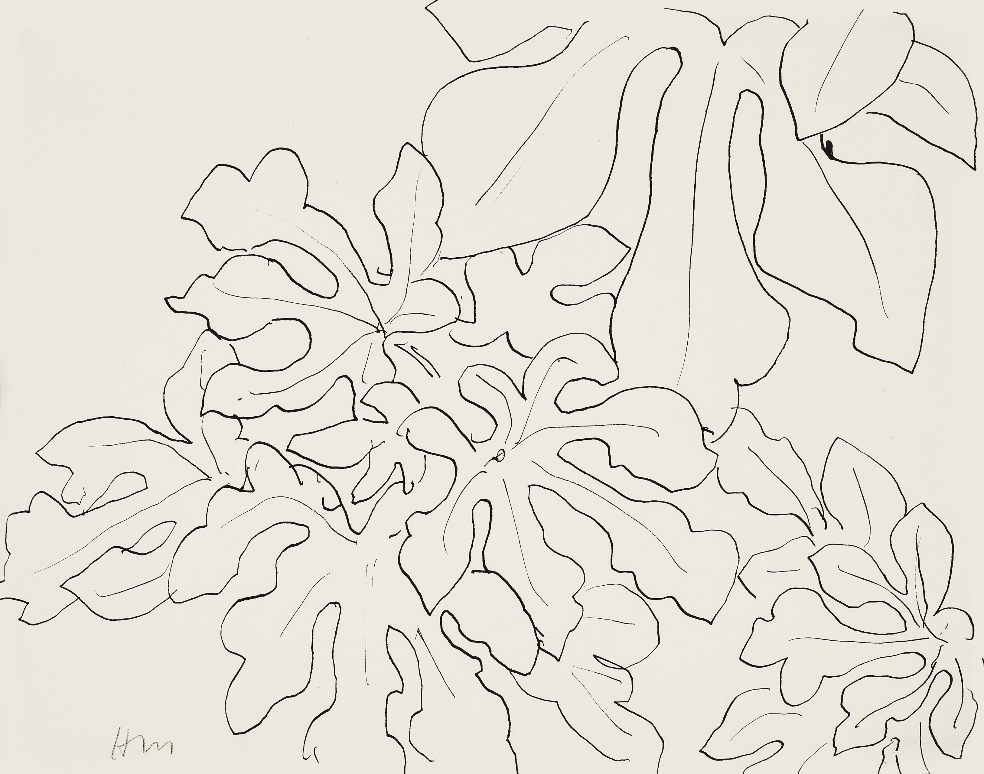 Henri Matisse: Feuillage d'un arbre, 1941