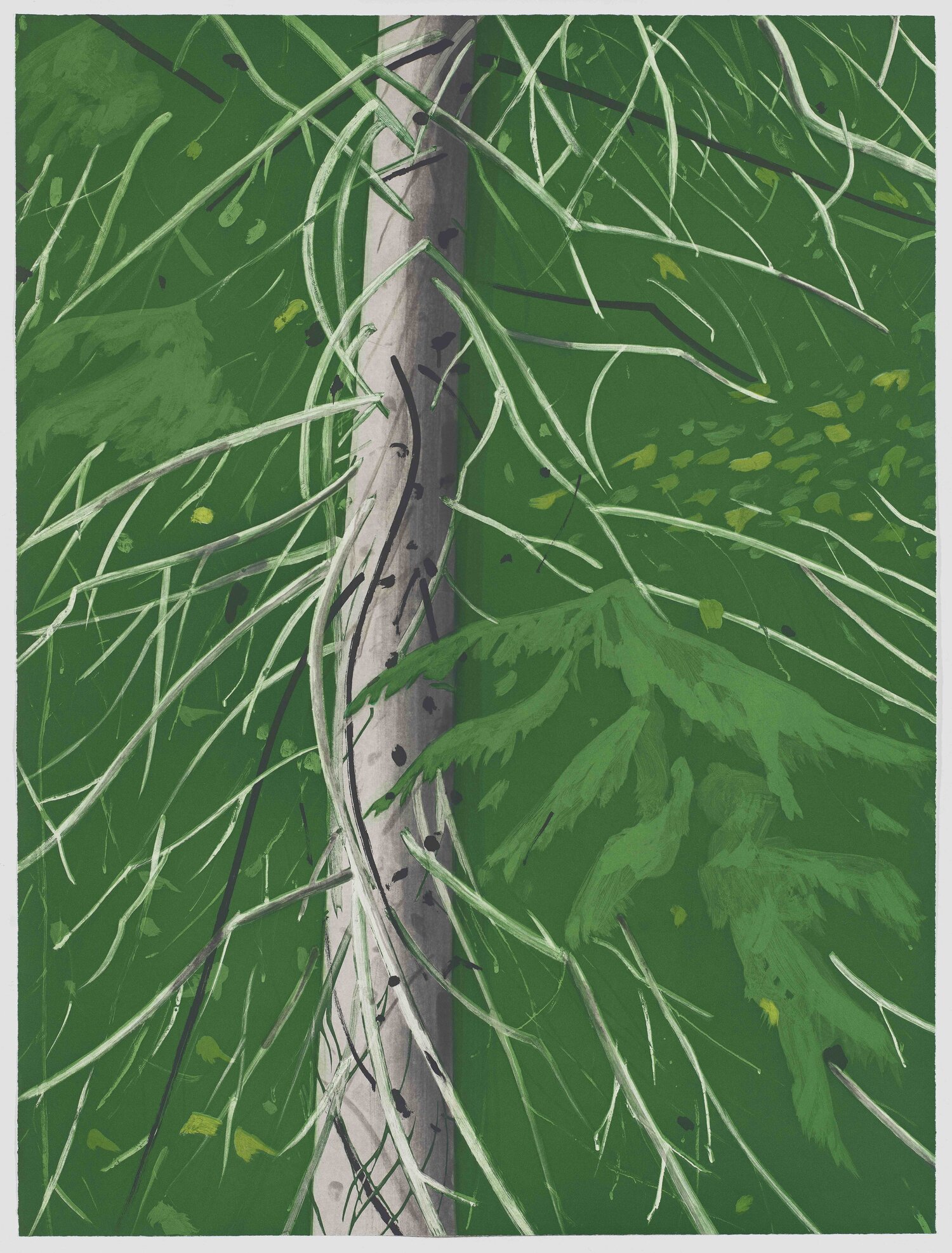 Alex Katz