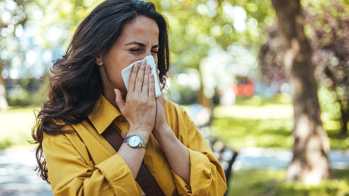 New compound eases allergy symptoms naturally New compound eases allergy symptoms naturally - allergy symptoms