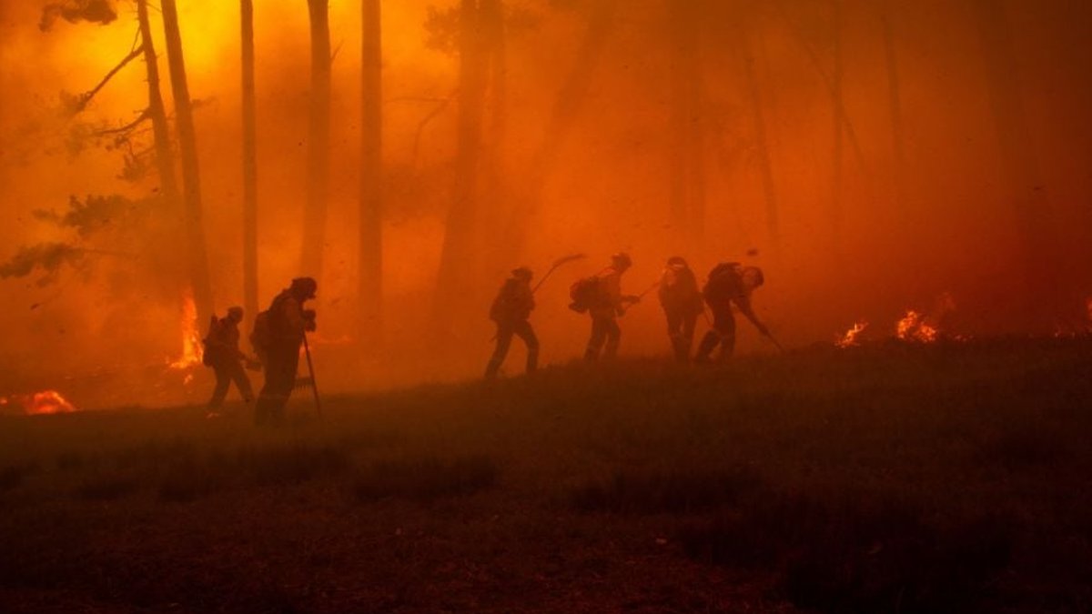 Canadian insurers ready for wildfire costs - wildfire costs