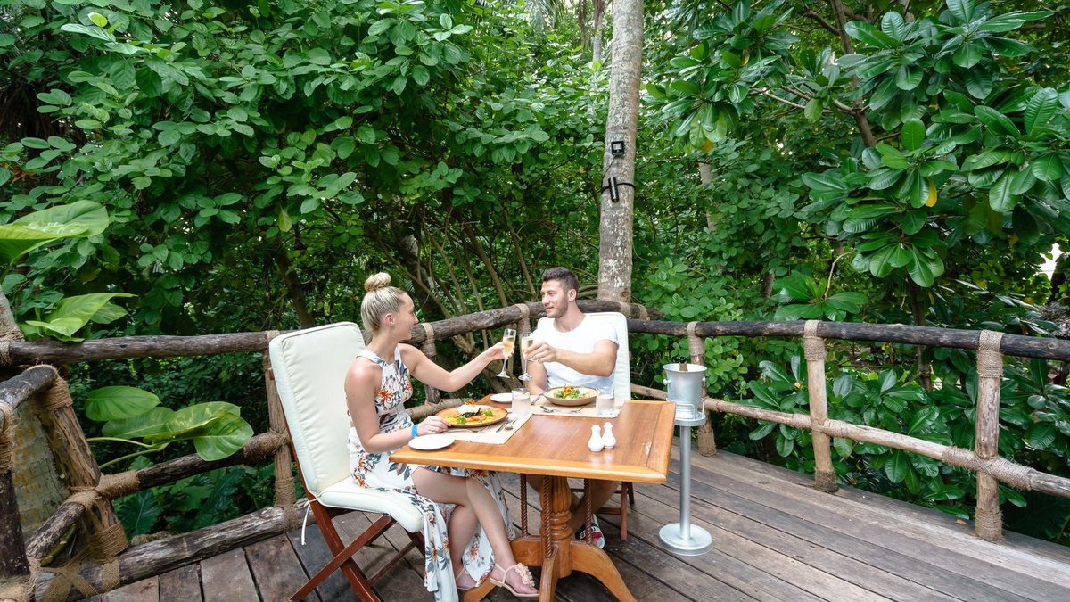 Treehouse Hotels Offer Elevated Luxury Amidst Nature Treehouse Hotels Offer Elevated Luxury Amidst Nature - treehouse hotels