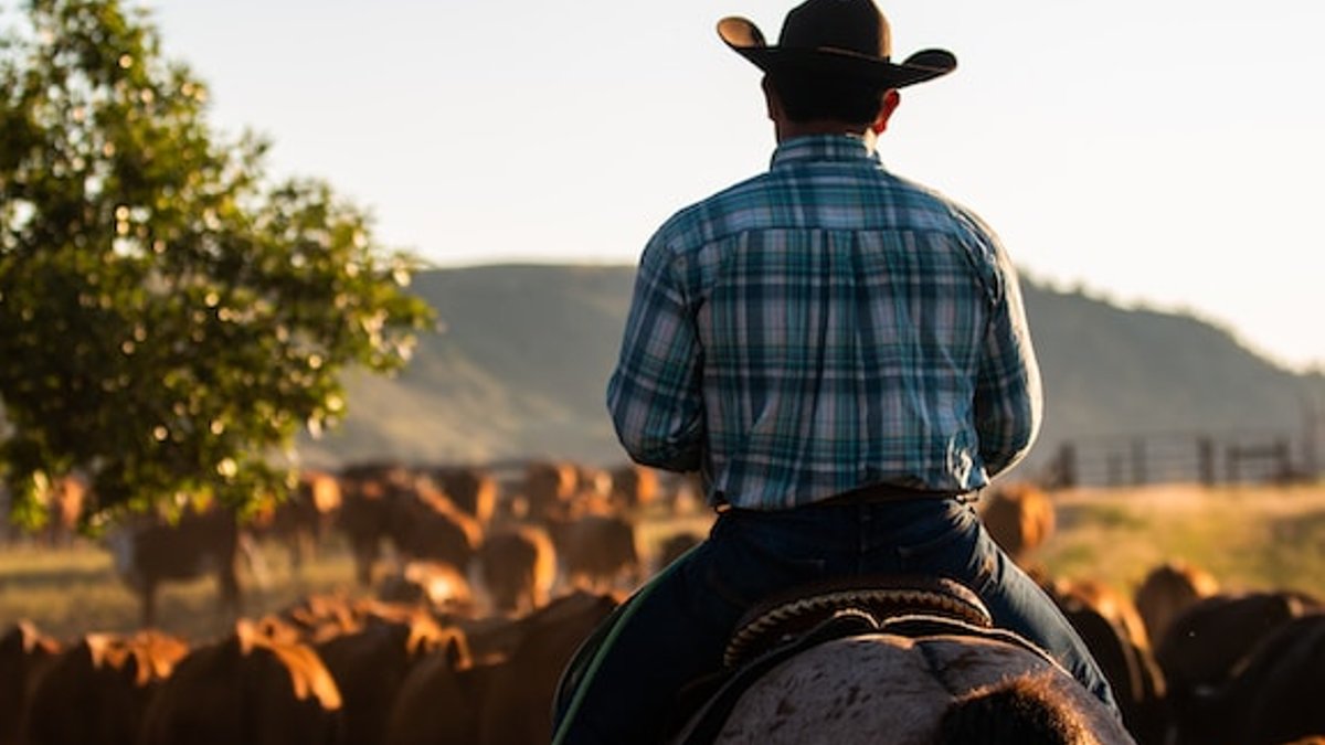 Western fashion brand Ringers rides in style - western fashion